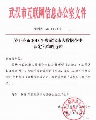 海云基因武汉分公司 2018年荣获高新技术企业、大数据企业、科技小巨人等荣誉，引领武汉信息科技新发展