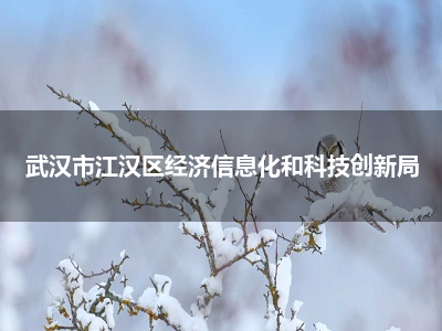 科技赋能，智绘江汉——武汉市江汉区经济信息化和科技创新局引领区域信息科技新发展