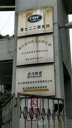 武汉微思信息技术有限责任公司 深耕武汉信息科技领域的创新力量